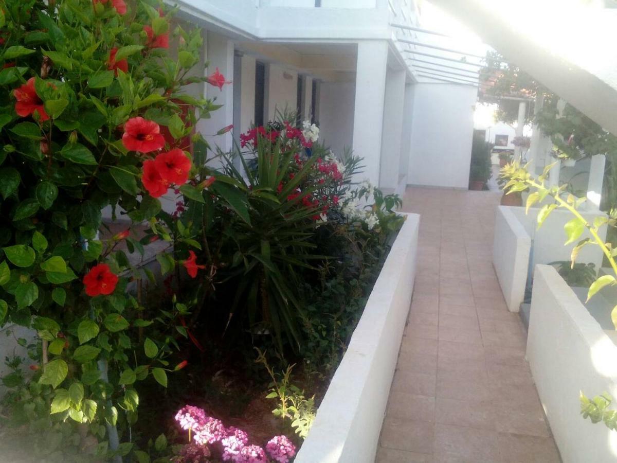 Villas Irene 5 Family Apartments Kokkini Hani Exterior foto
