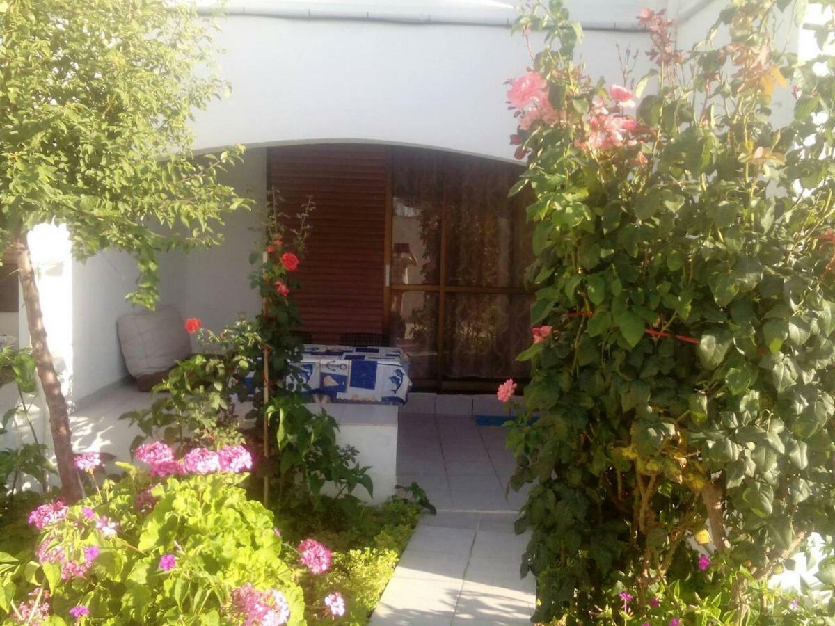 Villas Irene 5 Family Apartments Kokkini Hani Exterior foto